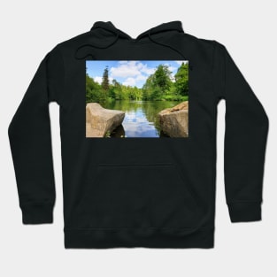 Beautiful pond view with birds going around Hoodie